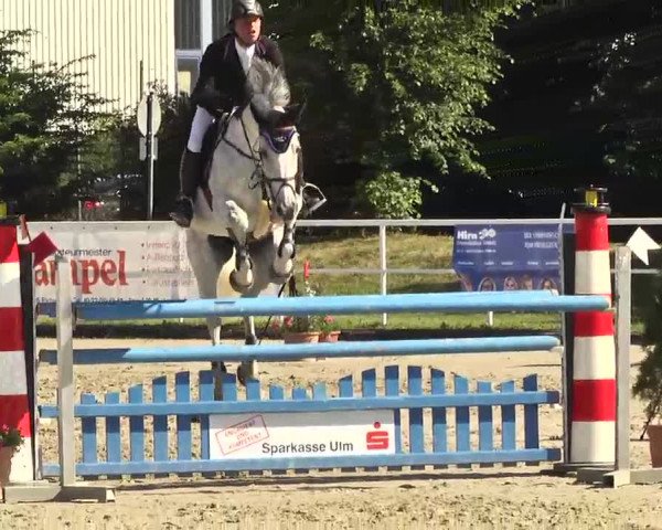 Großes Langenauer Reitturnier 2014