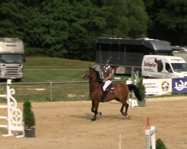 Reitturnier Bad Liebenstein/Sorga 2025