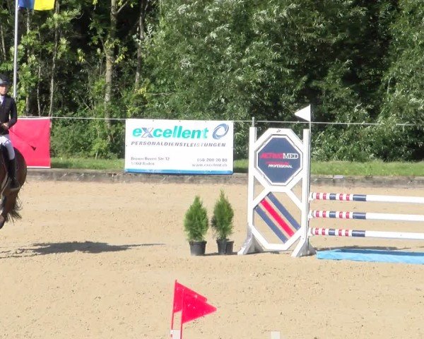 Reitturnier Maienfeld 2025