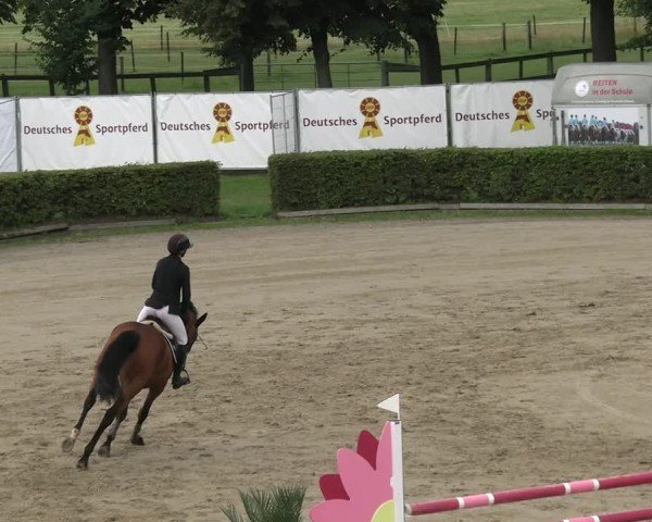 Reitturnier Neustadt/Dosse 2025