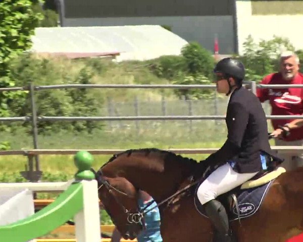 Großes Langenauer Reitturnier 2014