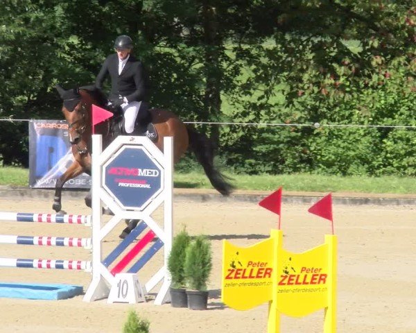 Reitturnier Maienfeld 2025