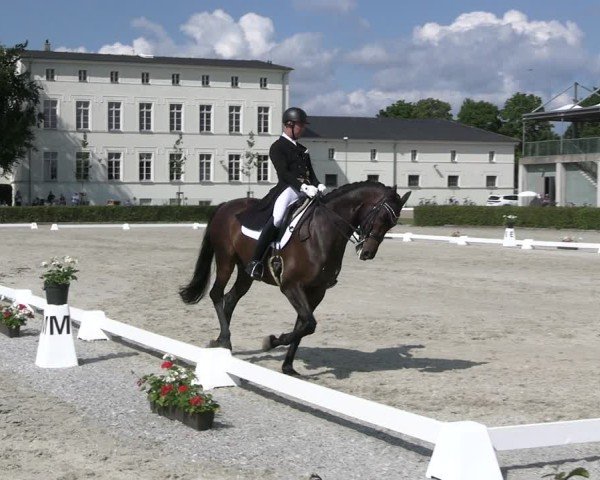 Reitturnier Neustadt/Dosse 2025