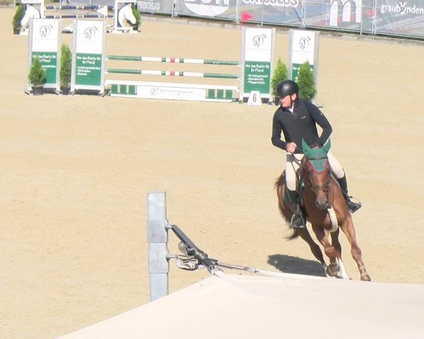 Reitturnier Maienfeld 2025