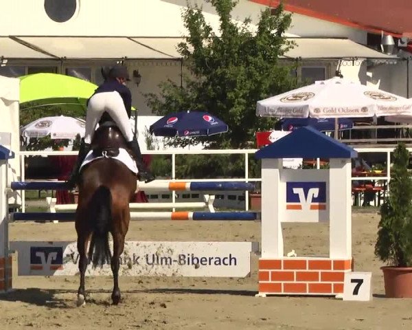Großes Langenauer Reitturnier 2014