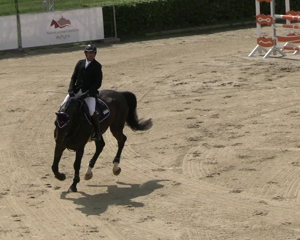 Reitturnier Neustadt/Dosse 2025
