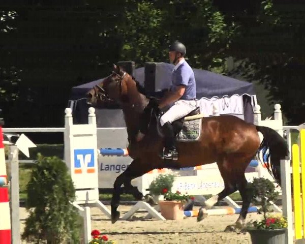Großes Langenauer Reitturnier 2014