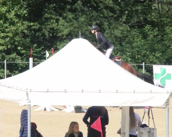 Reitturnier Maienfeld 2025