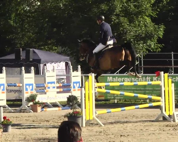 Großes Langenauer Reitturnier 2014