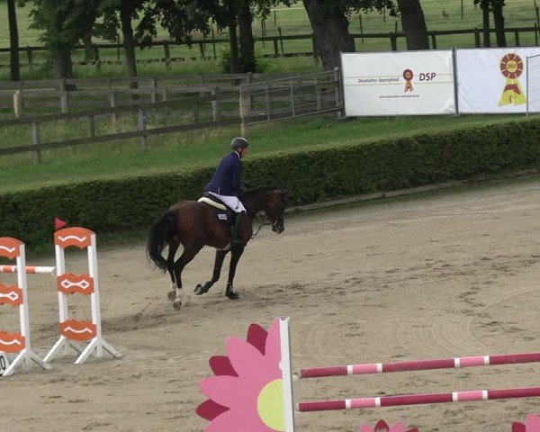 Reitturnier Neustadt/Dosse 2025