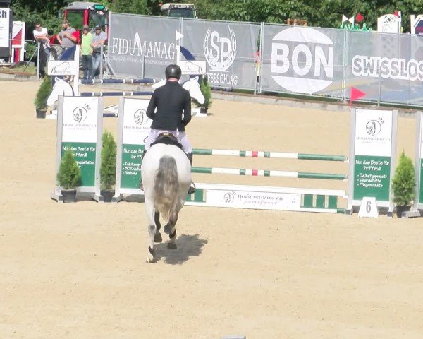 Reitturnier Maienfeld 2025