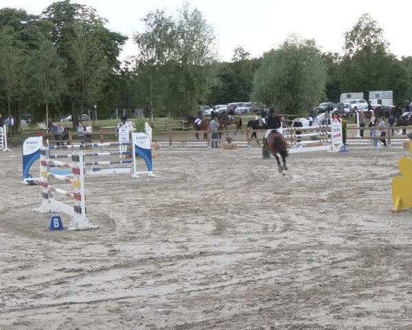 Reitturnier Herbern 2025