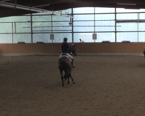 Reitturnier Herbern 2025