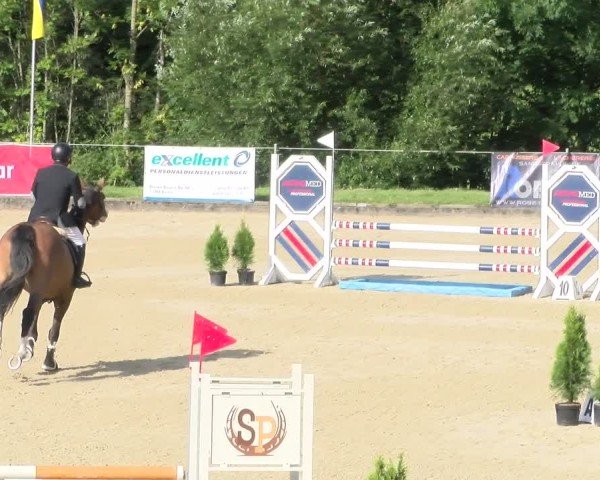Reitturnier Maienfeld 2025