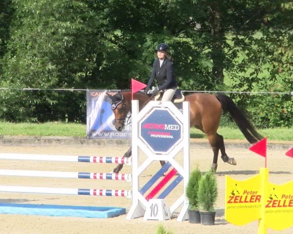 Reitturnier Maienfeld 2025