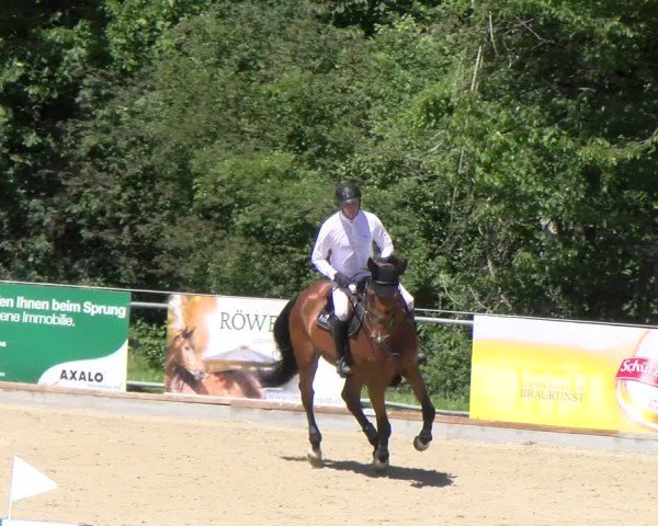 Reitturnier Maienfeld 2025