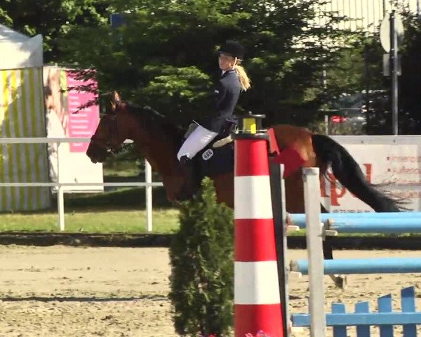 Großes Langenauer Reitturnier 2014