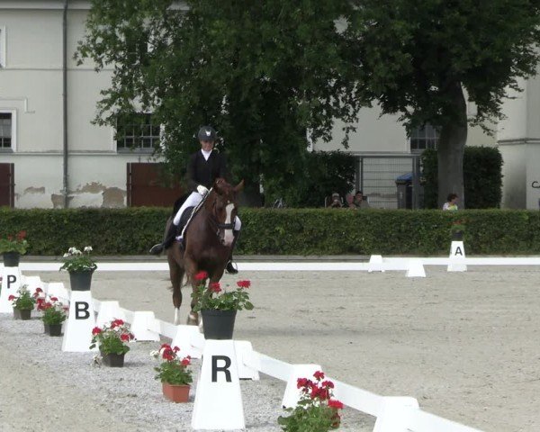 Reitturnier Neustadt/Dosse 2025