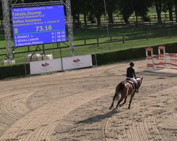 Reitturnier Neustadt/Dosse 2025