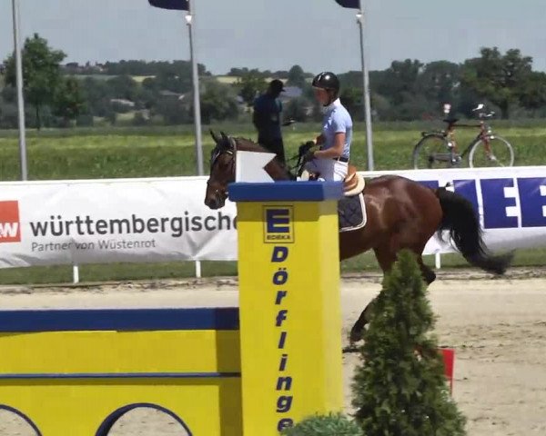 Großes Langenauer Reitturnier 2014