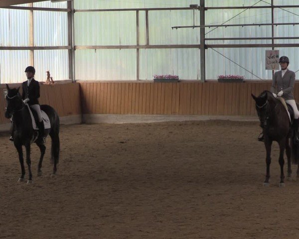 Reitturnier Herbern 2025