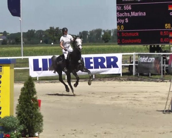 Großes Langenauer Reitturnier 2014