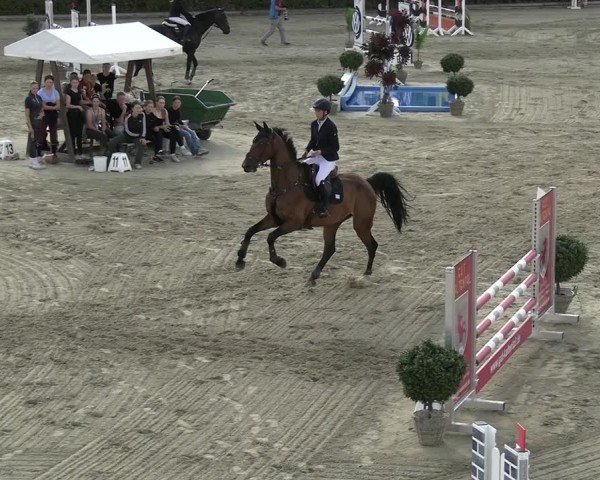 Reitturnier Neustadt/Dosse 2025