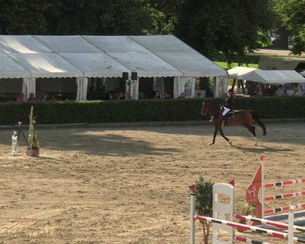 Reitturnier Neustadt/Dosse 2025