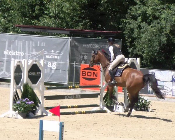 Reitturnier Maienfeld 2025