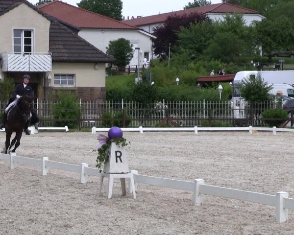 Iserlohner Pfingst-Dressurtage 2014