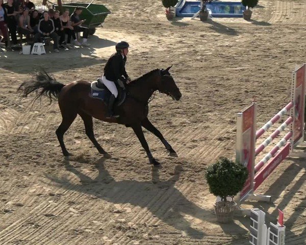 Reitturnier Neustadt/Dosse 2025