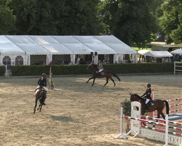 Reitturnier Neustadt/Dosse 2025