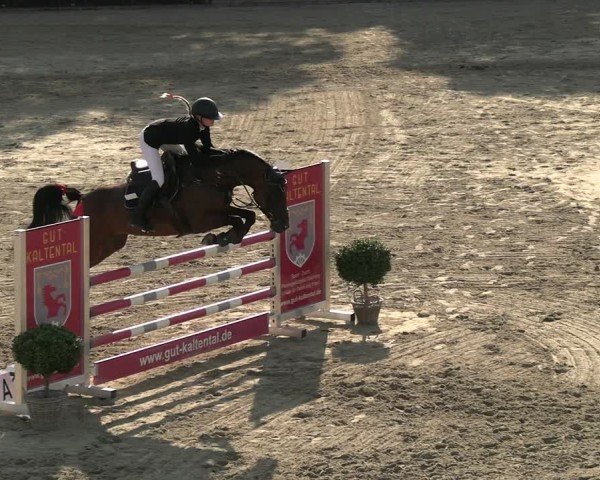 Reitturnier Neustadt/Dosse 2025