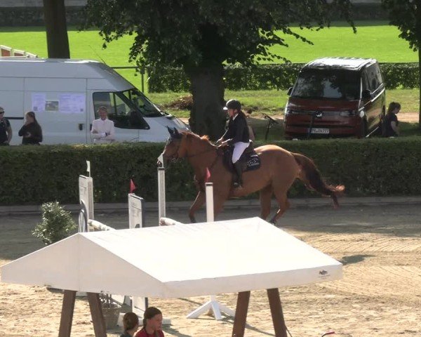 Reitturnier Neustadt/Dosse 2025