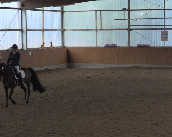 Reitturnier Herbern 2025