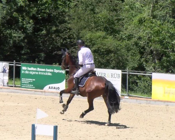 Reitturnier Maienfeld 2025