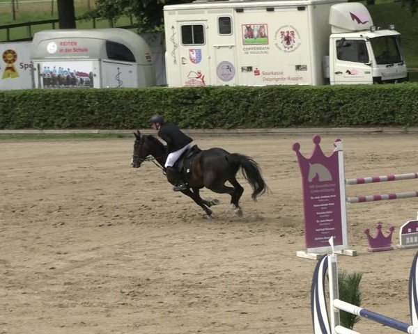 Reitturnier Neustadt/Dosse 2025
