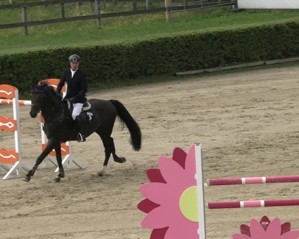 Reitturnier Neustadt/Dosse 2025