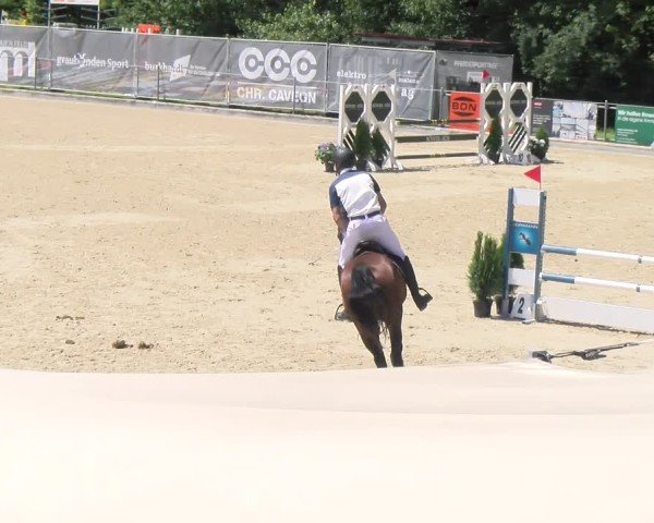 Reitturnier Maienfeld 2025