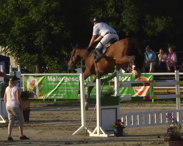 Großes Langenauer Reitturnier 2014