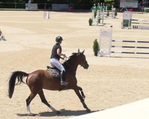 Reitturnier Maienfeld 2025