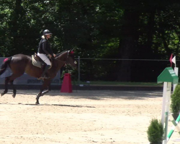 Reitturnier Maienfeld 2025