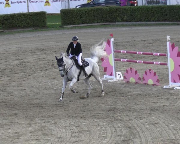Reitturnier Neustadt/Dosse 2025