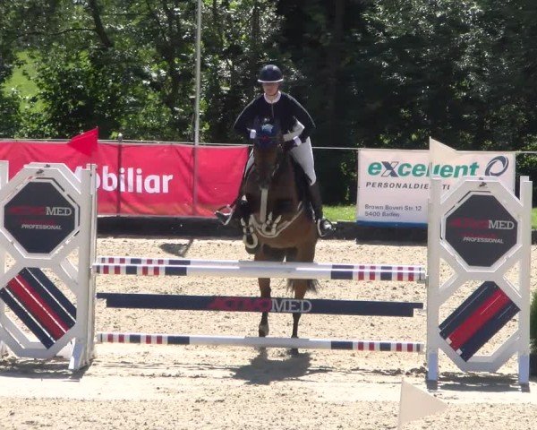 Reitturnier Maienfeld 2025