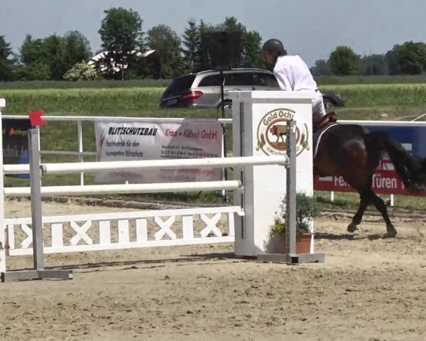 Großes Langenauer Reitturnier 2014