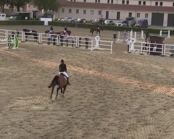 Reitturnier Neustadt/Dosse 2025