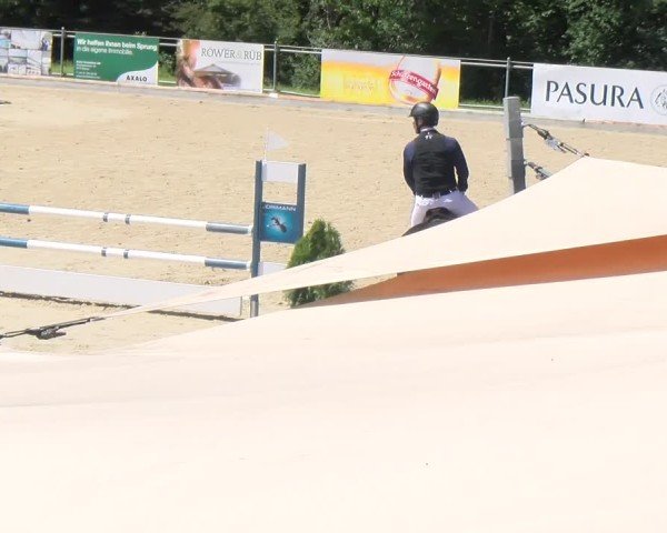 Reitturnier Maienfeld 2025