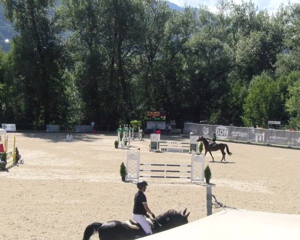 Reitturnier Maienfeld 2025