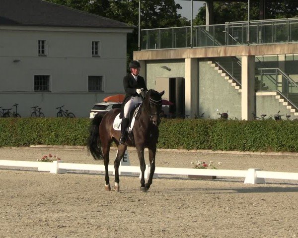 Reitturnier Neustadt/Dosse 2025