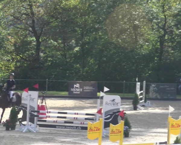 Reitturnier Maienfeld 2025